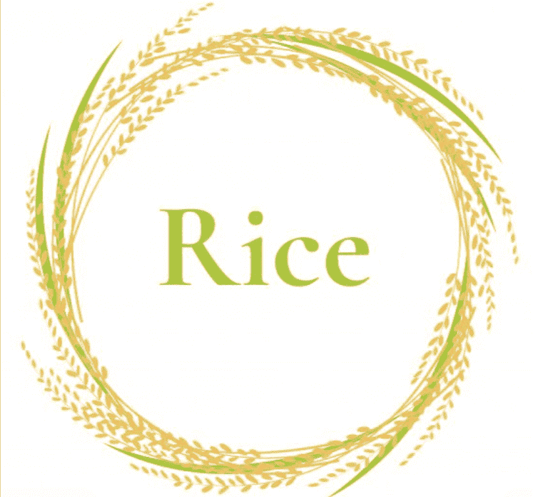 Rice Water